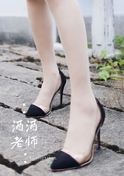 高h的小说